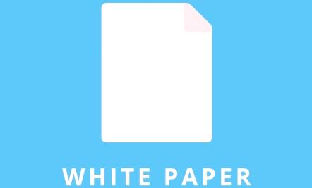 Co je bílá kniha a jak ji psát [+ příklady]